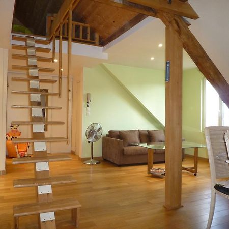 Apartamento Les Mirabelles Metz Habitación foto